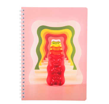 CADERNO ESPIRAL